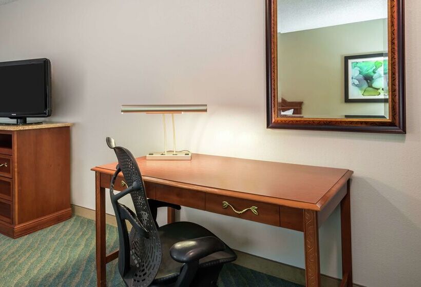 Fotos del hotel Hilton Garden Inn Orlando International Drive North:  56