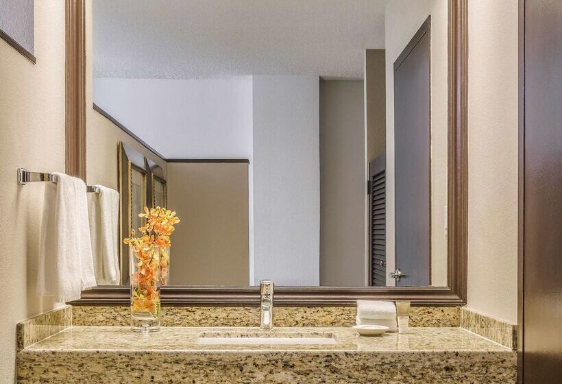 Fotos del hotel Hyatt Regency Miami:  9