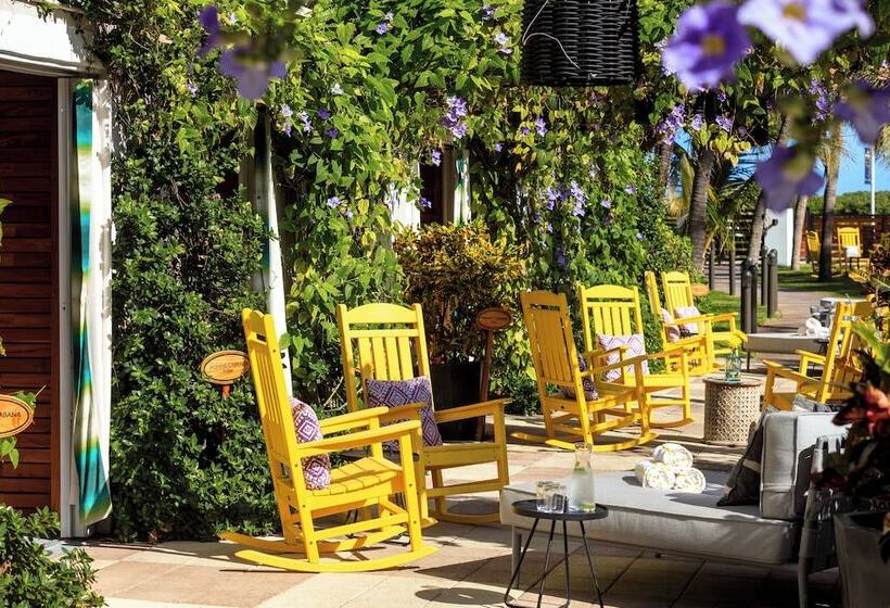 Kimpton Surfcomber Hotel, An Ihg