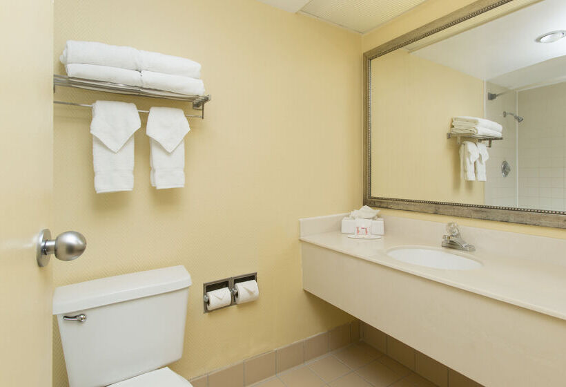 Fotos del hotel Ramada Plaza Resort & Suites By Wyndham Orlando Intl Drive:  31