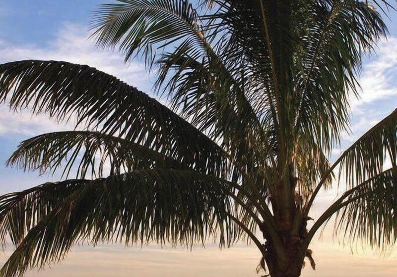 Отель Residence Inn By Marriott St. Petersburg Treasure Island