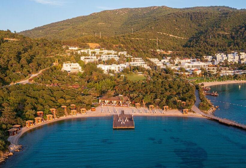 هتل Rixos Premium Bodrum