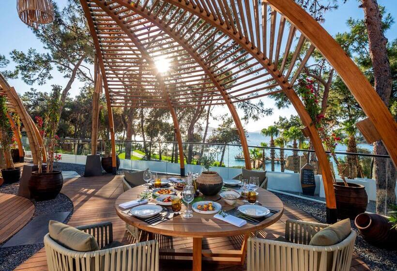هتل Rixos Premium Bodrum