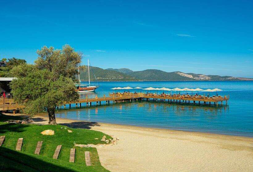 هتل Rixos Premium Bodrum