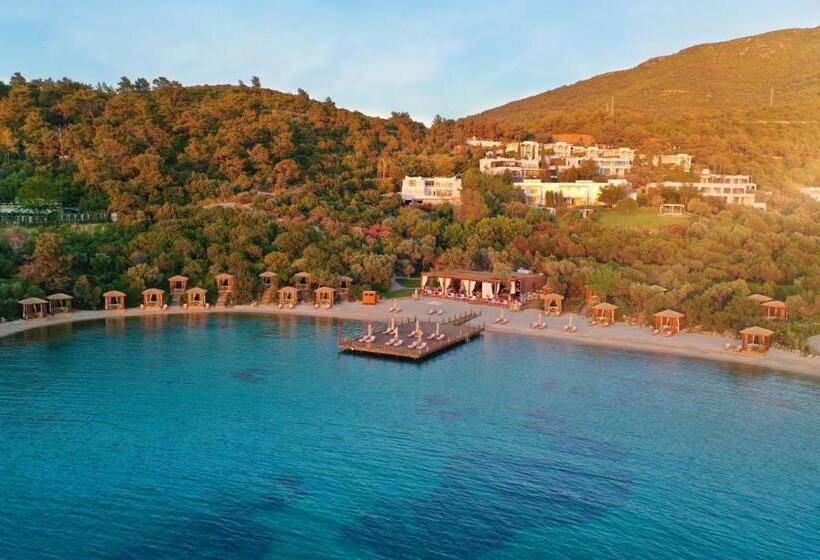 هتل Rixos Premium Bodrum
