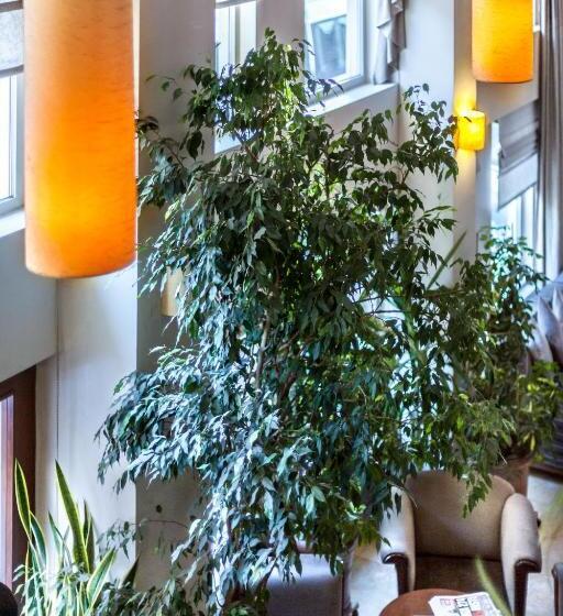 Fotos del hotel Sude Konak:  12