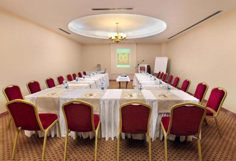 Fotos del hotel Taksim Metropark:  15