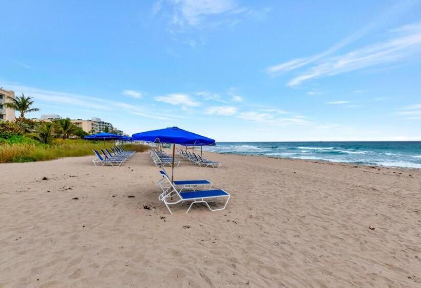 Отель Tideline Palm Beach Ocean Resort And Spa