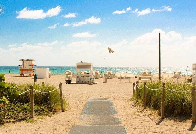 Fotos del hotel Yve Hotel Miami:  44