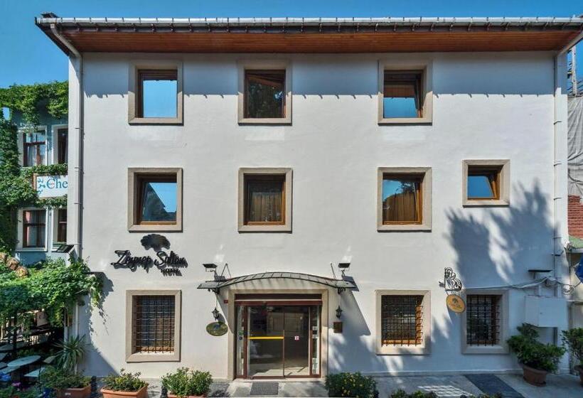 Fotos del hotel Zeynep Sultan:  24