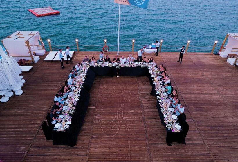 Rox Royal Hotel   All Inclusive