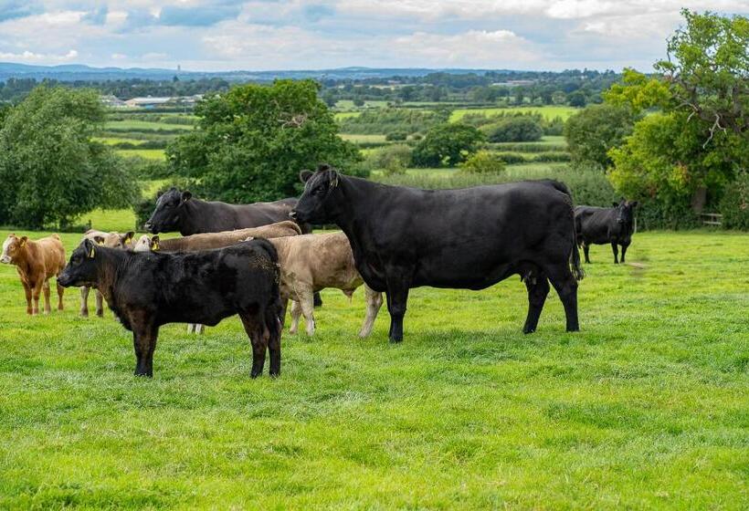 ベッドアンドブレックファースト Higher Farm