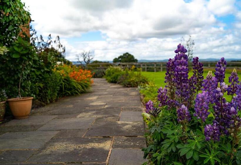 ベッドアンドブレックファースト Higher Farm