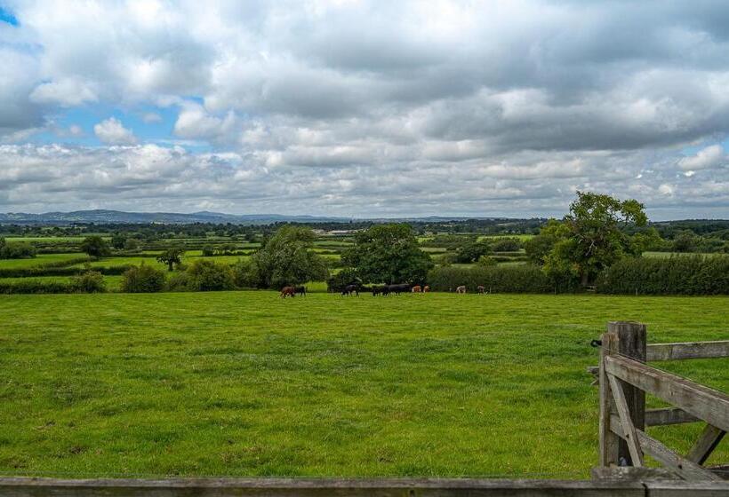 ベッドアンドブレックファースト Higher Farm