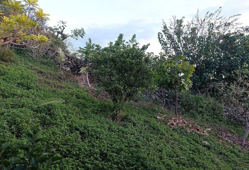 مبيت وإفطار Kona Palace In Captain Cook