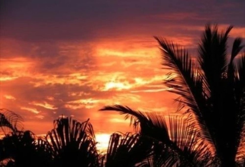 مبيت وإفطار Kona Palace In Captain Cook