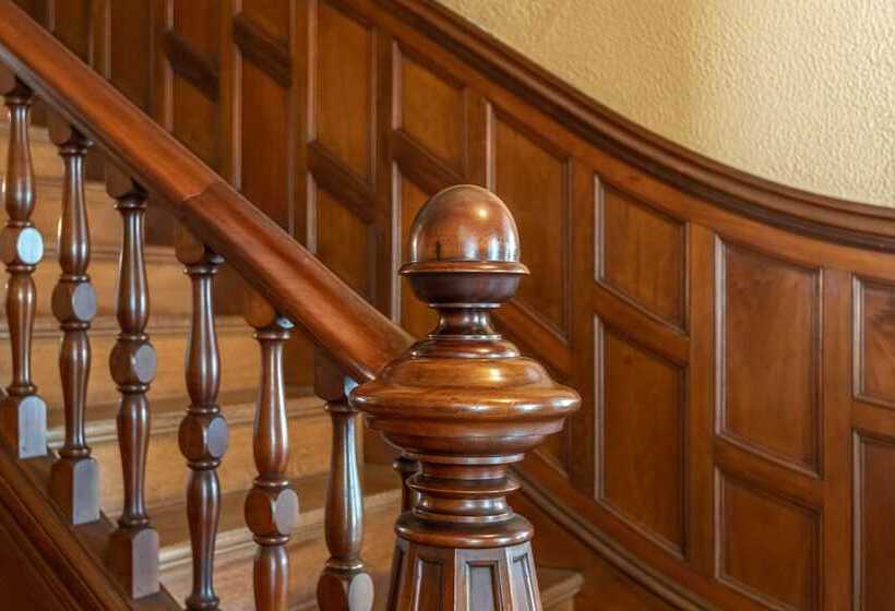 צימר The Lady Mary Inn