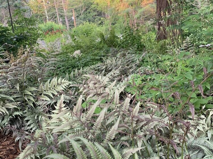 צימר The Lady Mary Inn