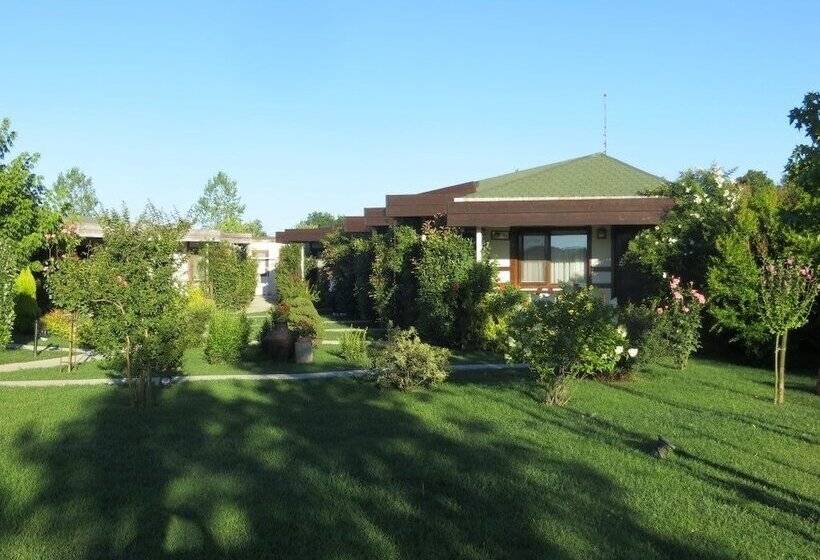 فندق Riva's Club