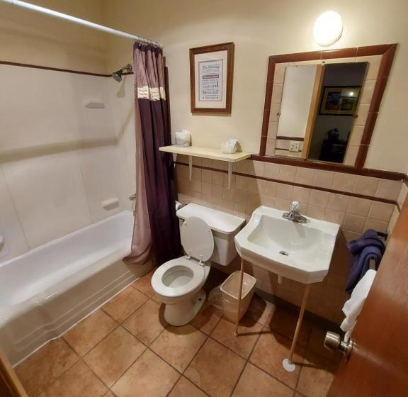 Мотель Cactus Inn