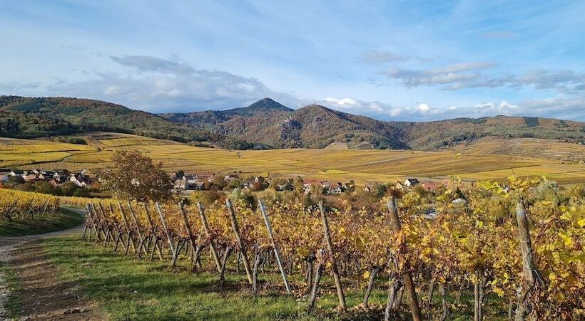 膳宿费 Maison D Hôtes Sainte Hune Chambres