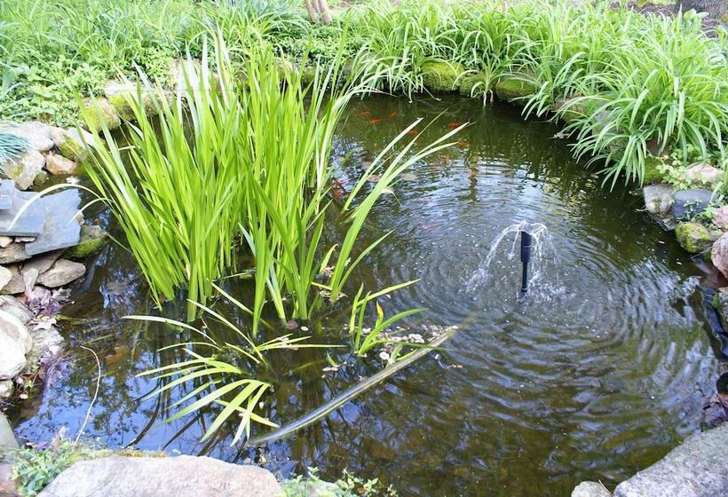 The Ebenezer House Bed & Breakfast