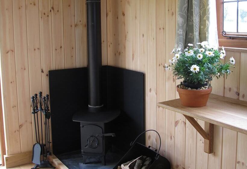 هتل روستایی Marshwood Farm B&b And Shepherds Hut