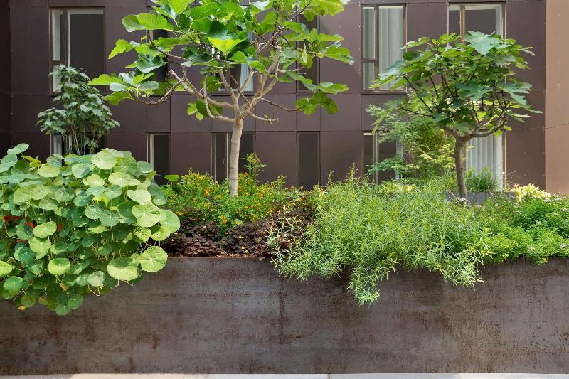 ホテル Comwell Copenhagen Portside Dolce By Wyndham