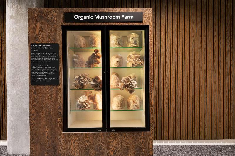 Fotos del hotel Comwell Copenhagen Portside Dolce By Wyndham:  4