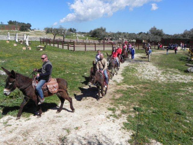 בית מלון כפרי Agriturismo Agrimilo