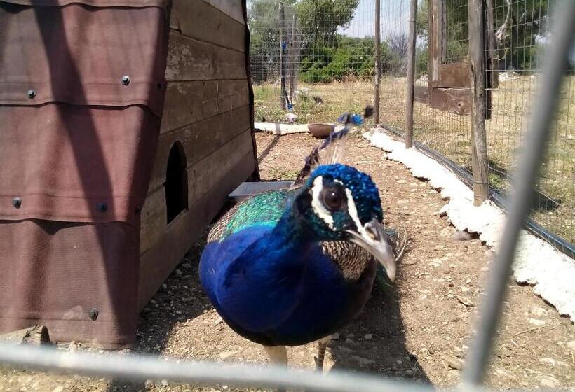 בית מלון כפרי Agriturismo Agrimilo