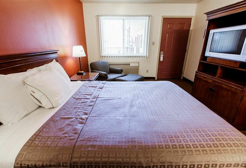 酒店 Americas Best Value Airport Inn