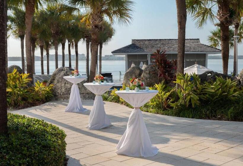 هتل Clearwater Beach Marriott Resort On Sand Key