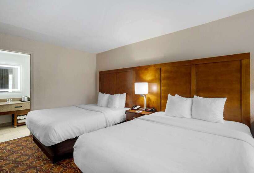 ホテル Comfort Inn Downtown Nashville  Music City Center