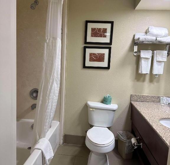בית מלון כפרי Vista Suites Near Leconte Convention Center
