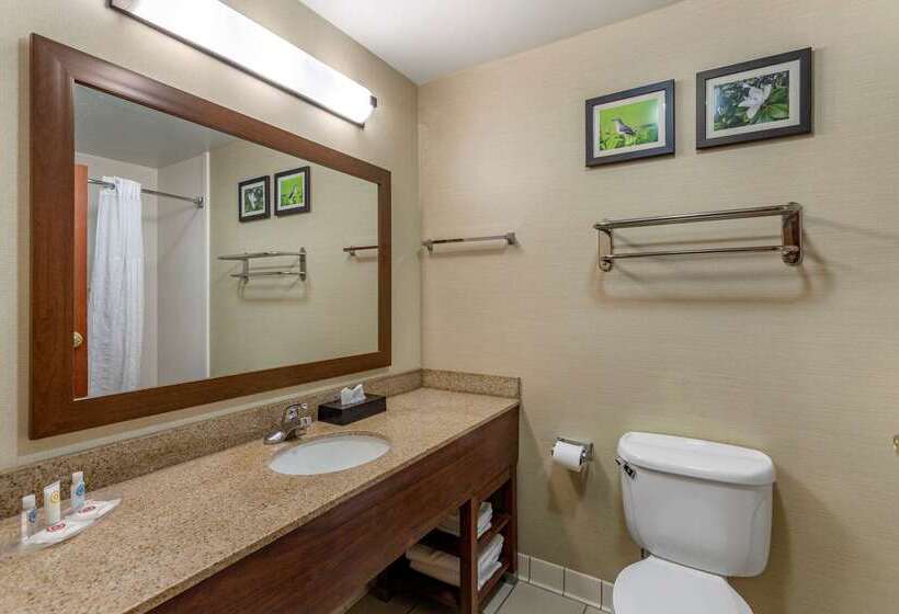 هتل Comfort Suites Southaven I55