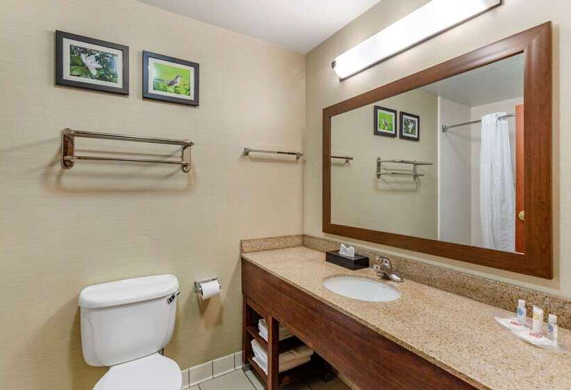 هتل Comfort Suites Southaven I55