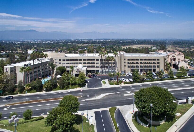 هتل Doubletree By Hilton Los Angeles Rosemead