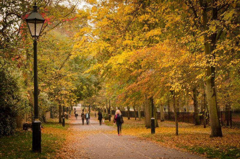 Fotos del hotel Holiday Inn Express London Stratford, An Ihg:  9