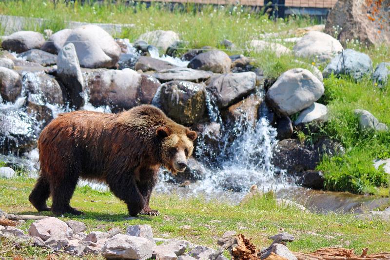 هتل Holiday Inn West Yellowstone, An Ihg