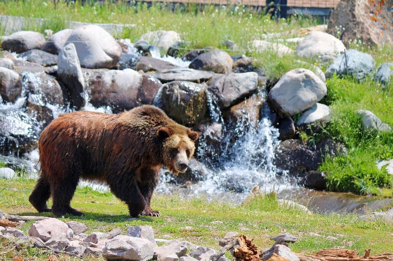 هتل Holiday Inn West Yellowstone