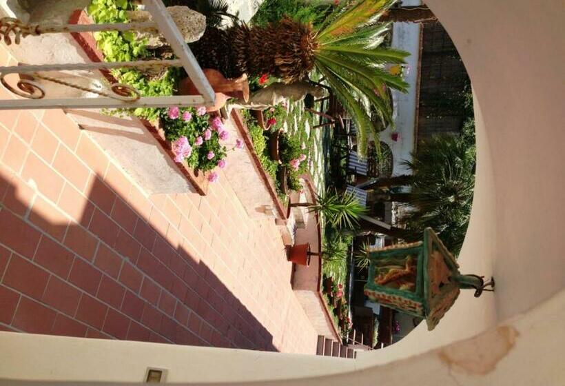 Hotel Mediterraneo Guest House