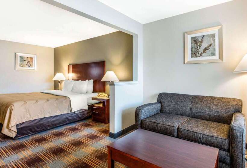 هتل Quality Inn Airport I240