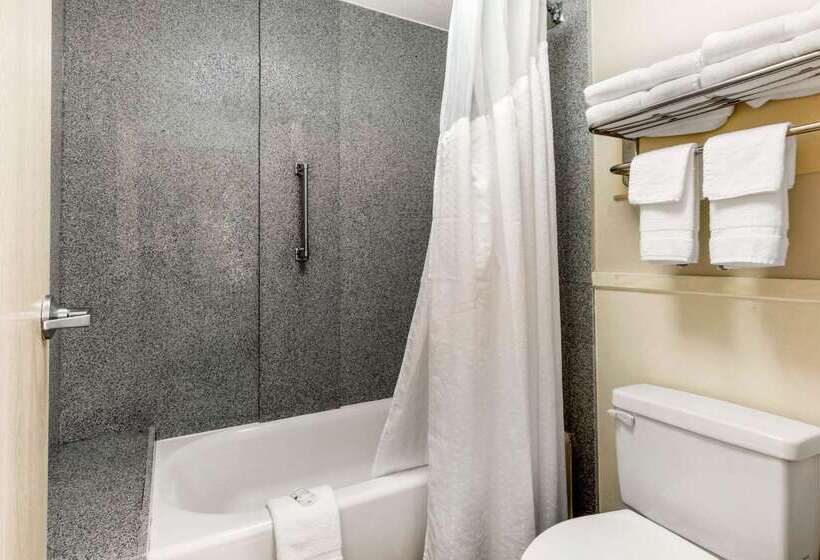 هتل Quality Inn Airport I240