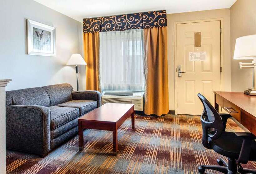 هتل Quality Inn Airport I240