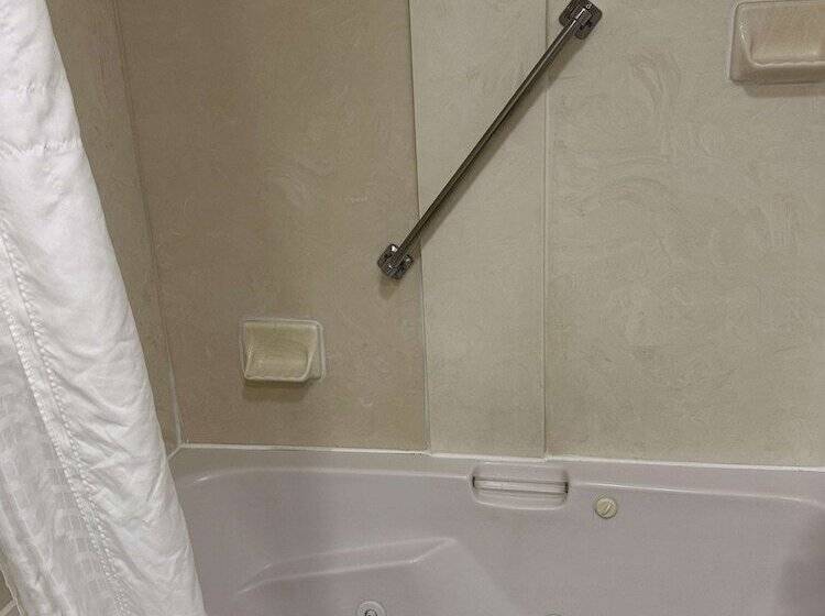 בית מלון כפרי Vista Suites Near Leconte Convention Center