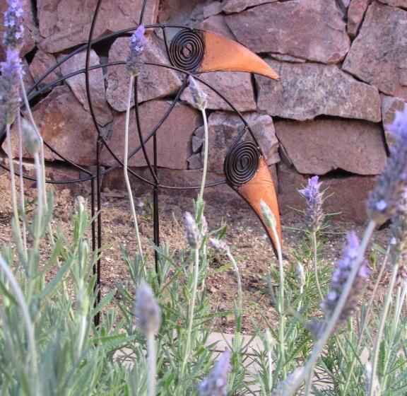 هاستل Esteños De La Pedrera Posada Y Spa