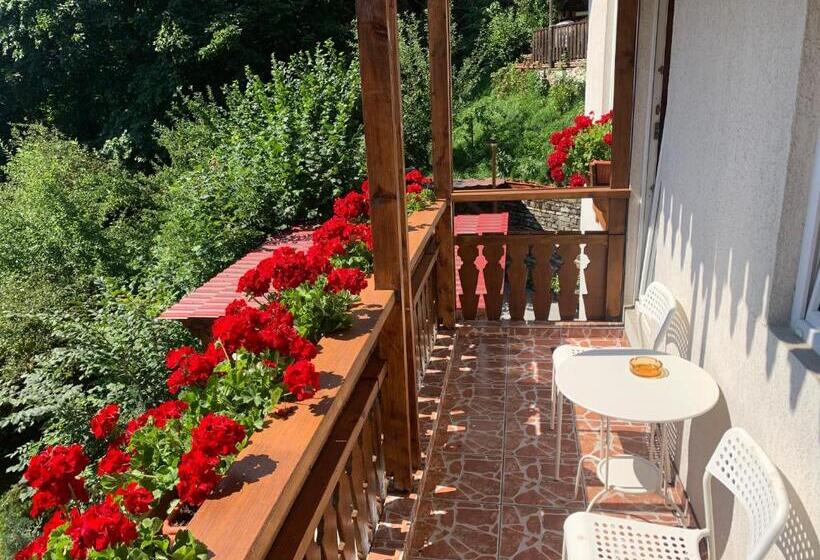بنسيون Vila Thomas