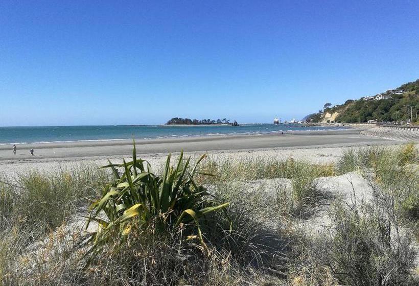 هاستل Honeysuckle House