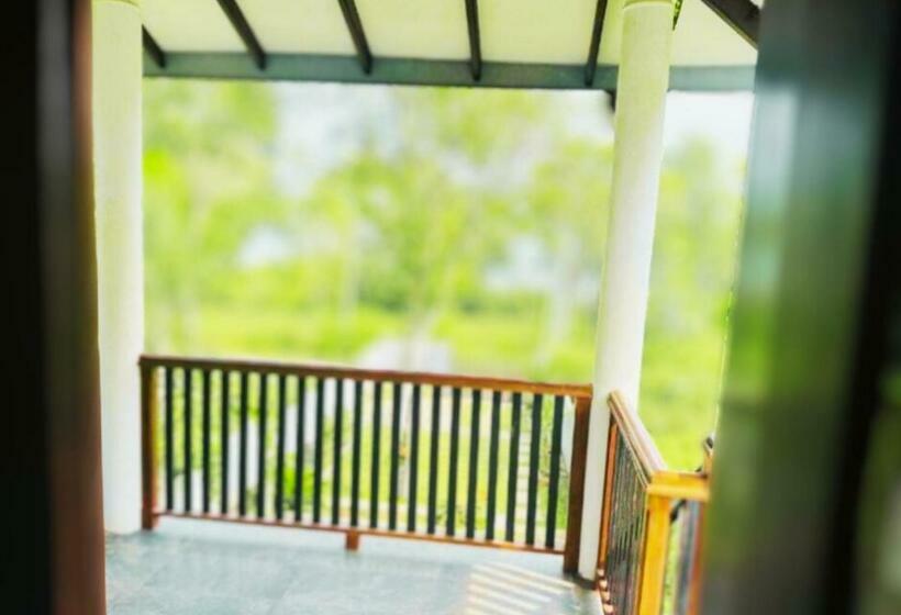 住宿加早餐  Amour At Turtle Beach